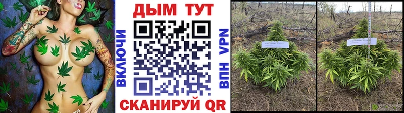 где купить   Болохово  Конопля планчик 